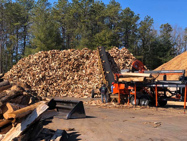 Tree Mike Mike's Tree Service | Tree Removal in Coventry, RI