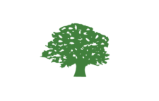 About Mike's Professional Tree Services | Coventry, RI
